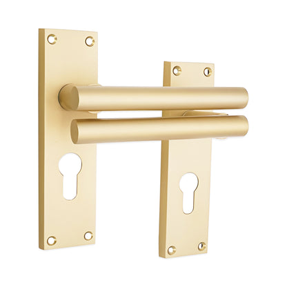Satin Brass Lever on Backplate Euro Home Decor  