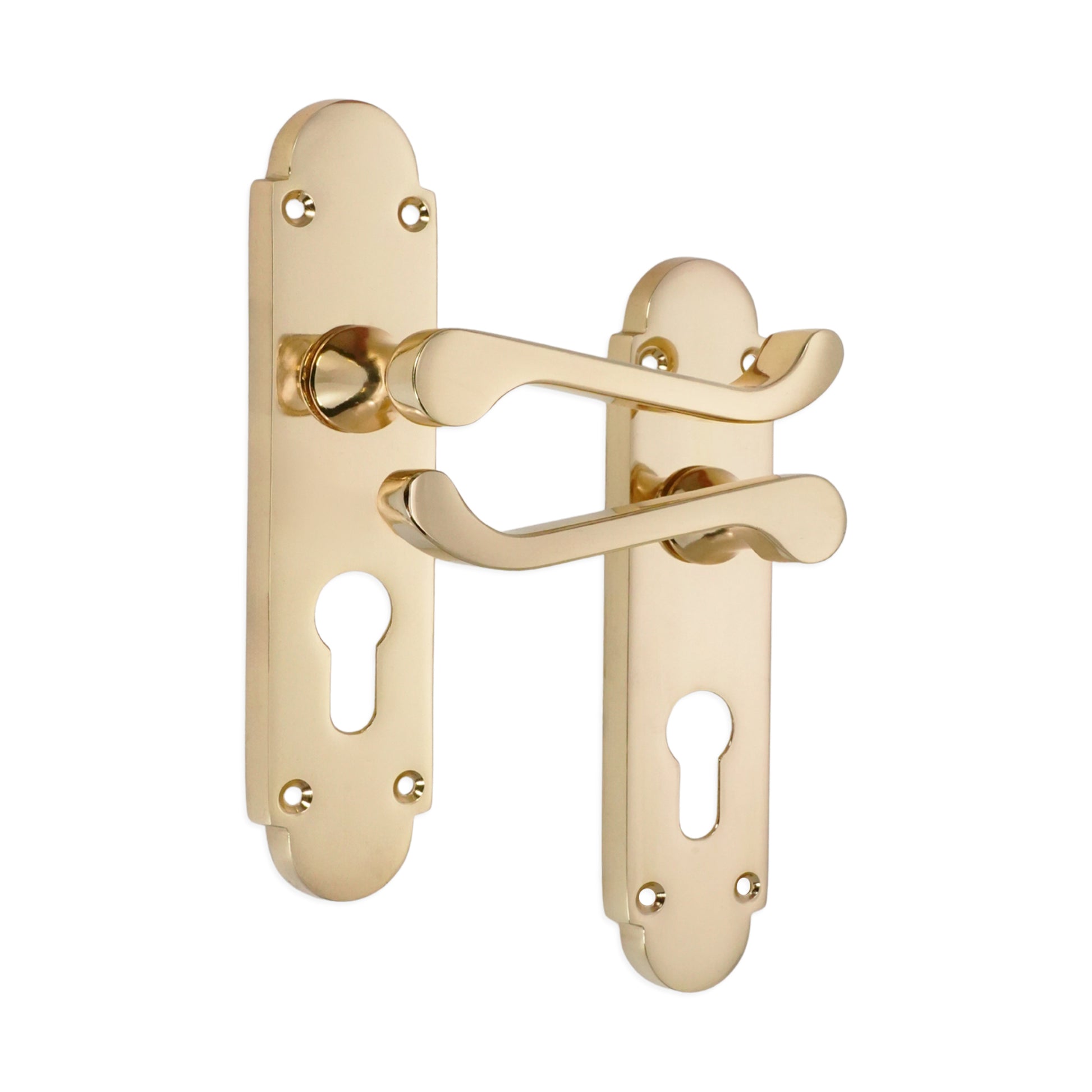 Polished Brass Lever on Backplate Euro Home Decor 