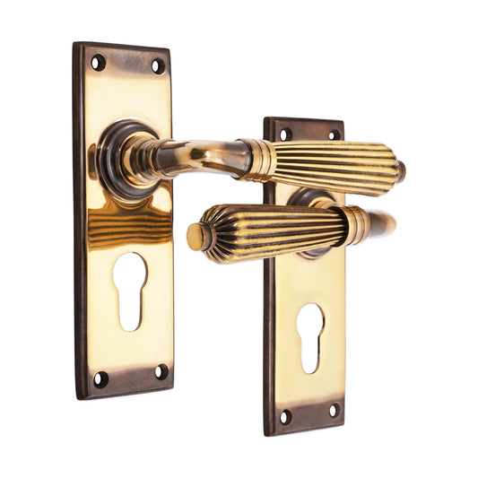 Regency Lever on Backplate Euro Aged Brass