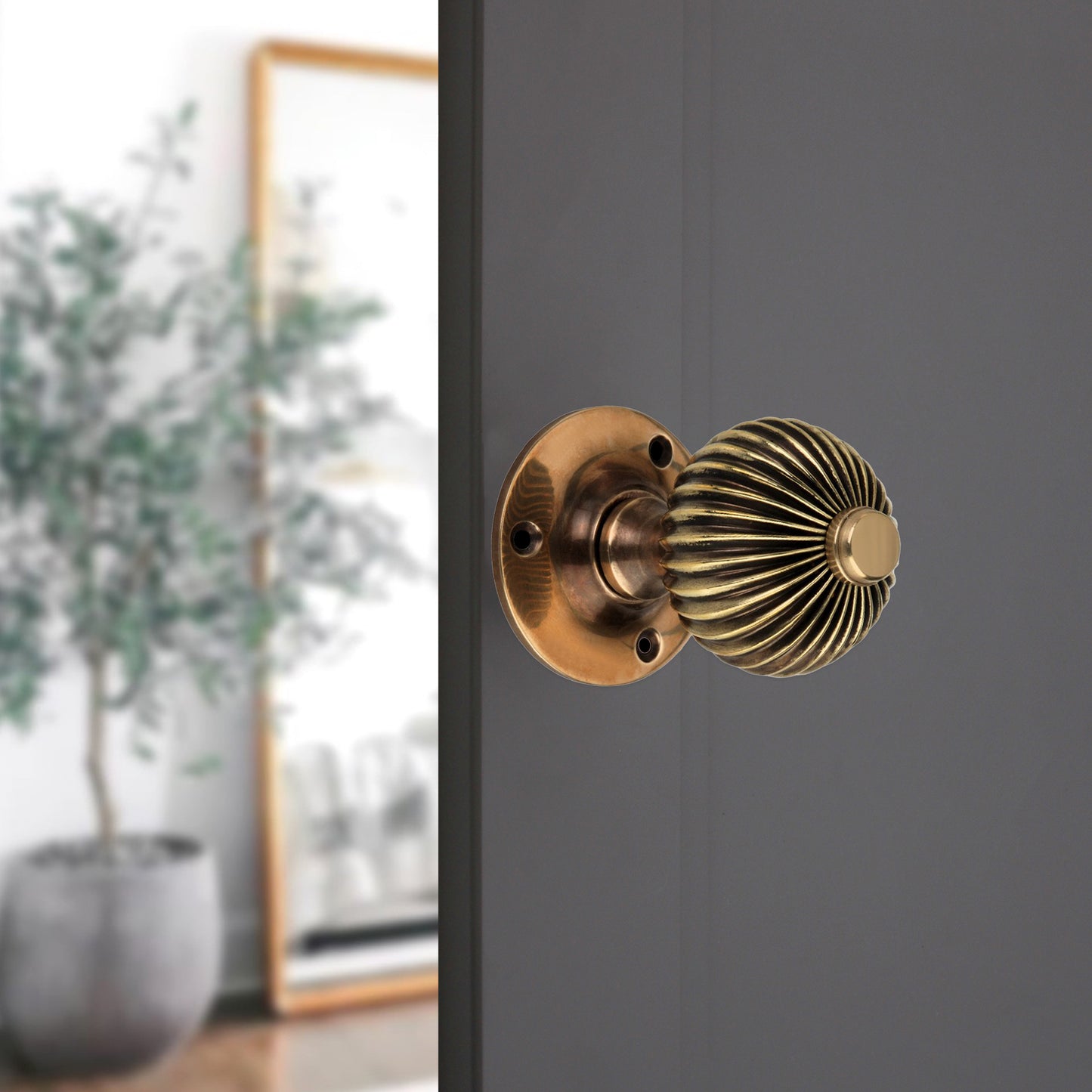 Regency Door Knob Aged Brass Home Decor