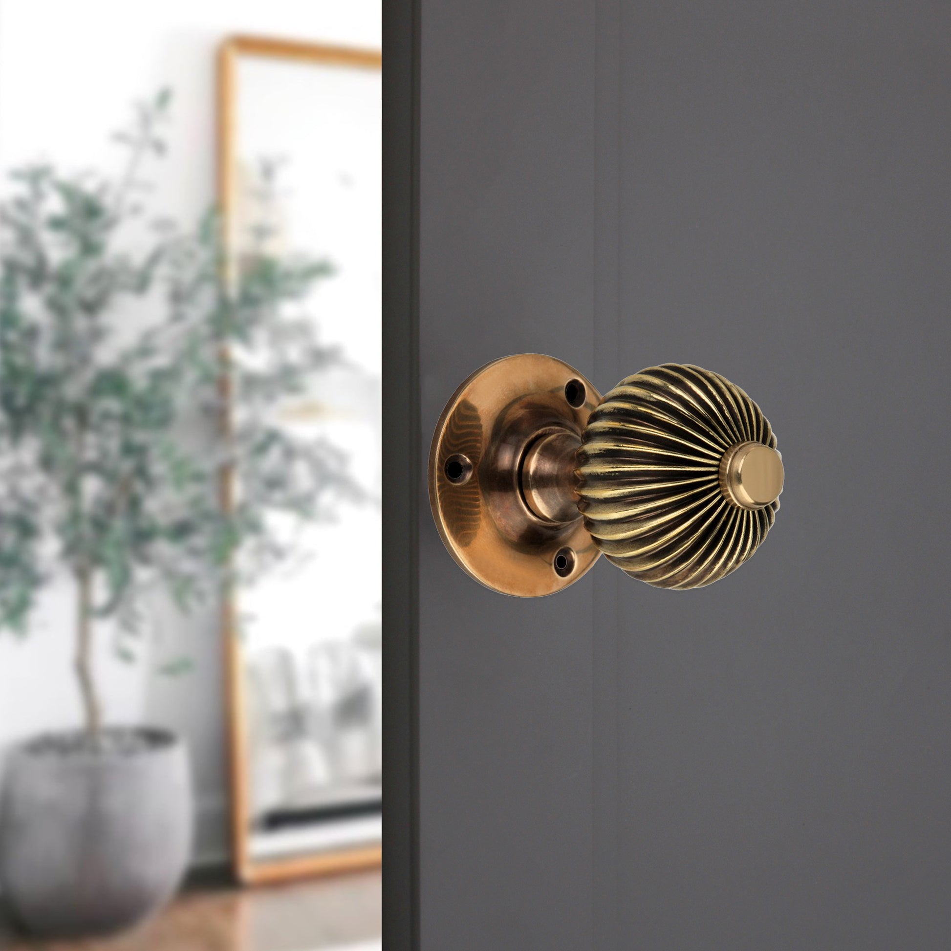 Regency Door Knob Aged Brass Home Decor