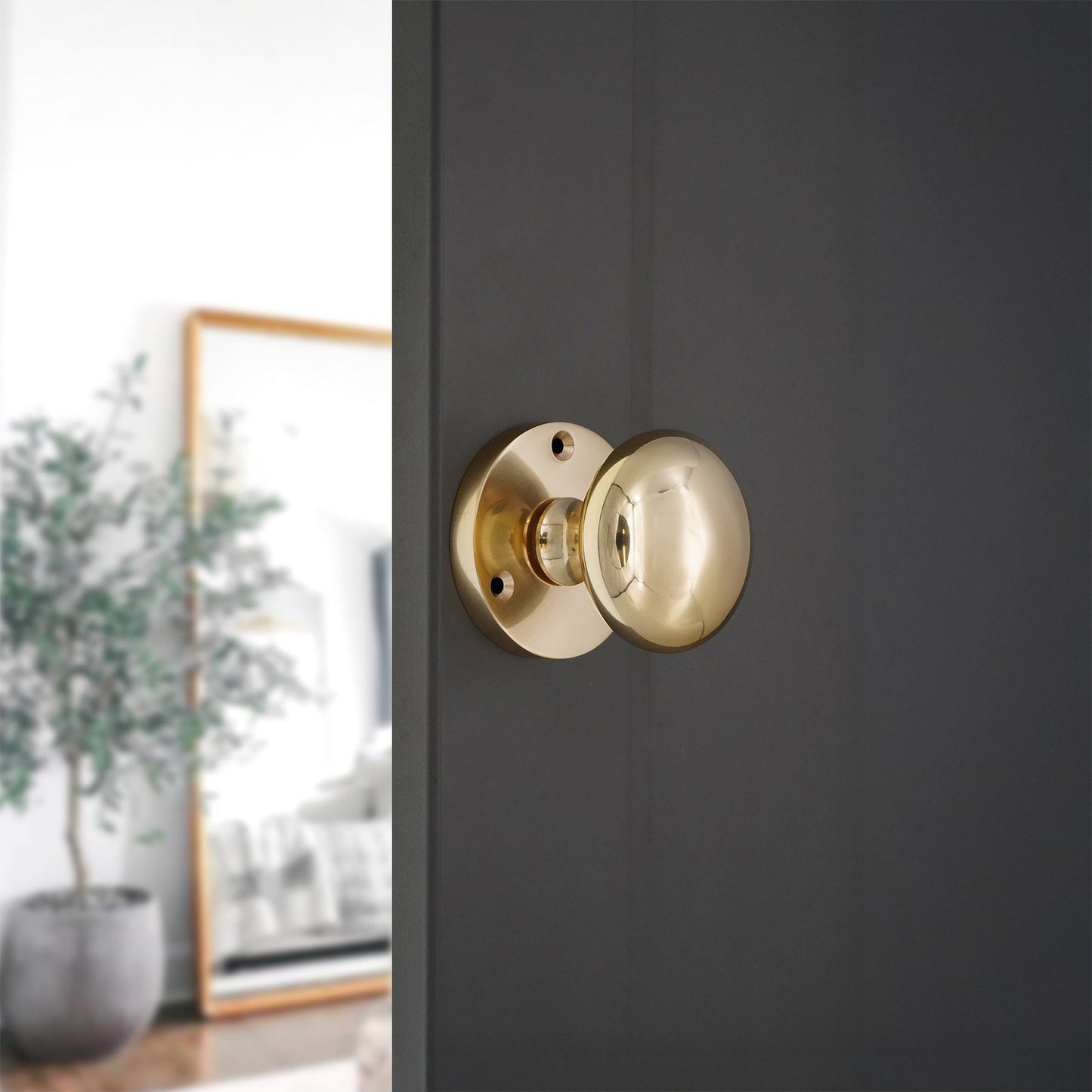 Victorian Door Knob Polished Brass Home Decor
