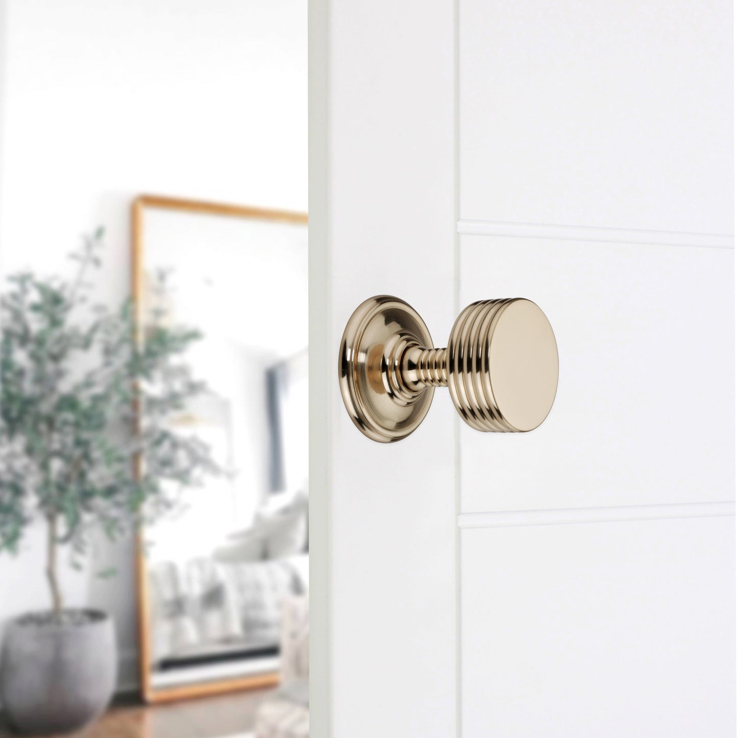 Oxford Mortice Door Knob Polished Brass Home Decor