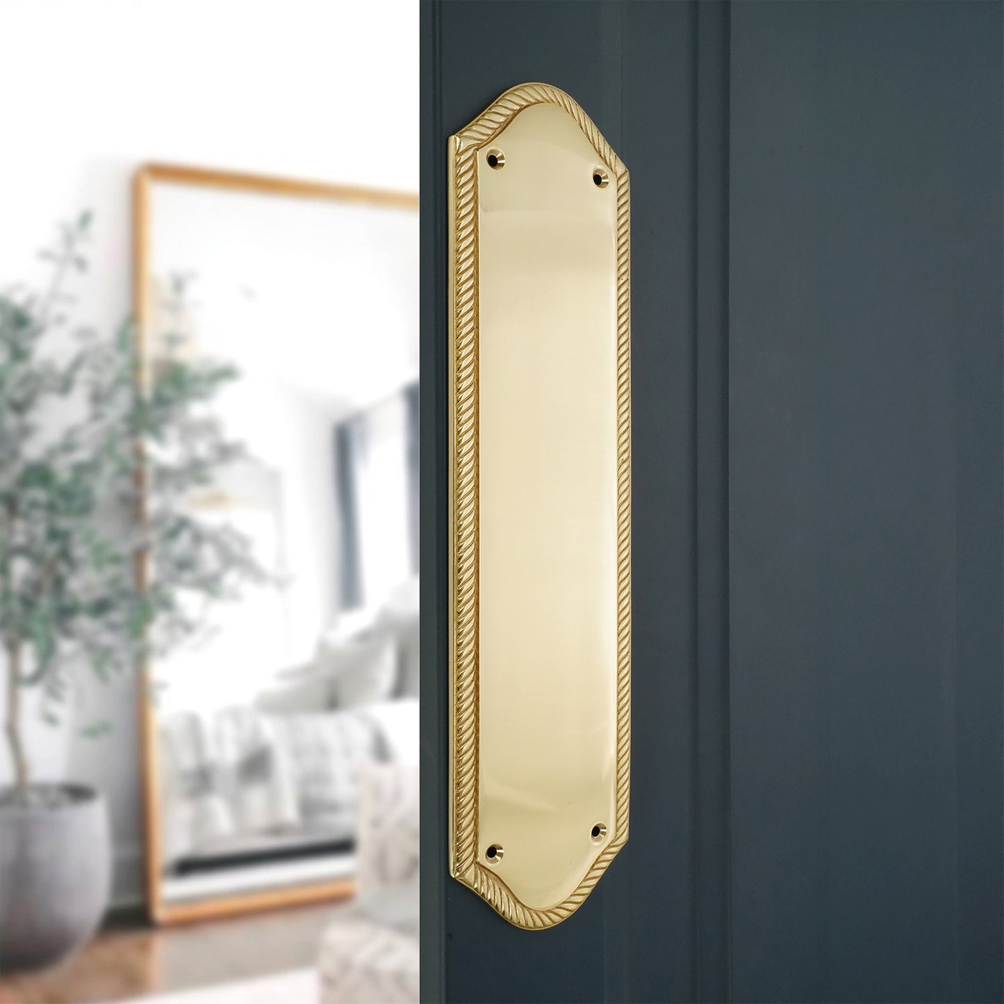Polished Brass Georgian Finger Plate Home Decor