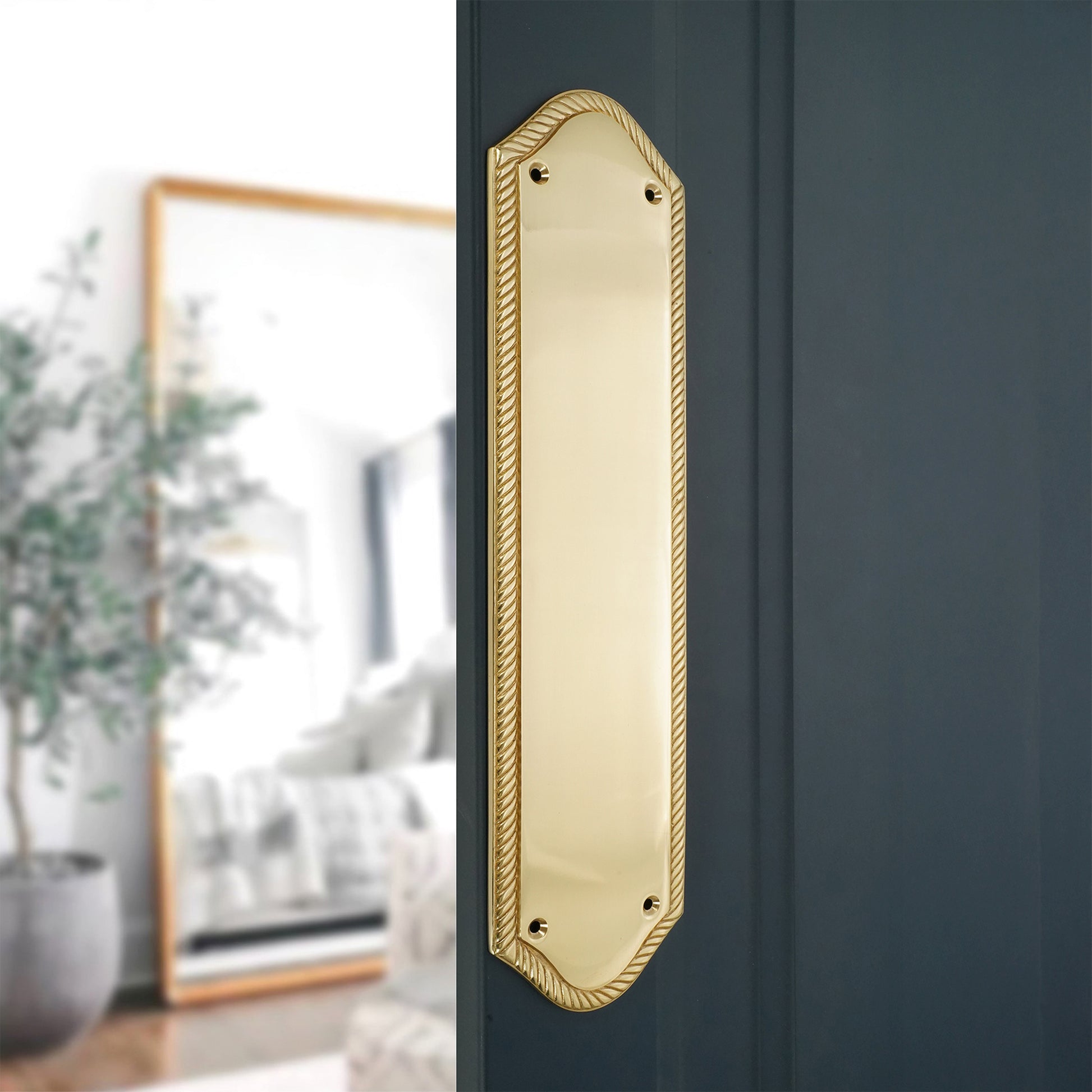 Polished Brass Georgian Finger Plate Home Decor
