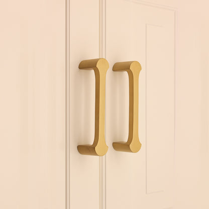 Tulip Pull Handle 115mm Satin Brass