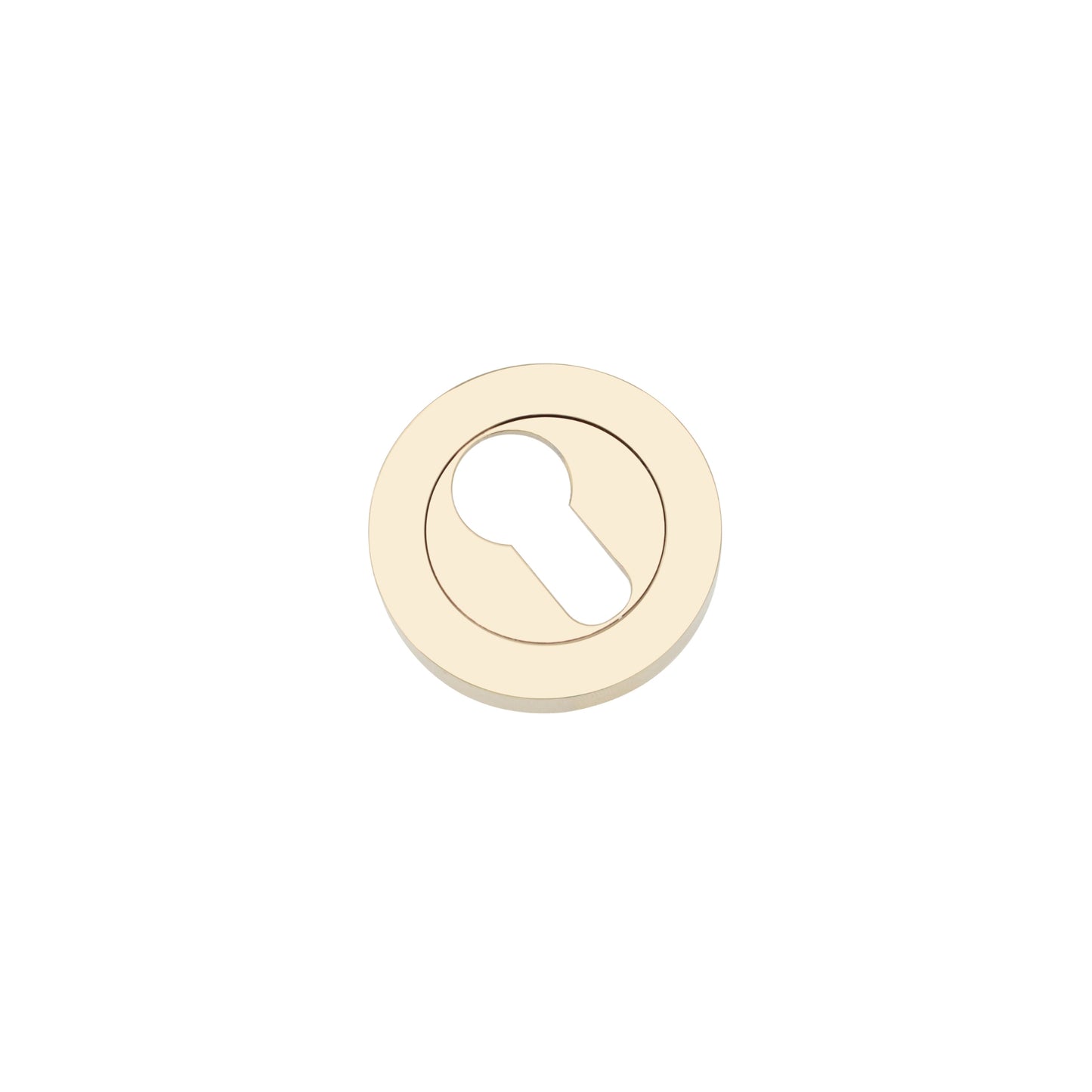 Euro Profile Escutcheon PVD Brass Home Decor