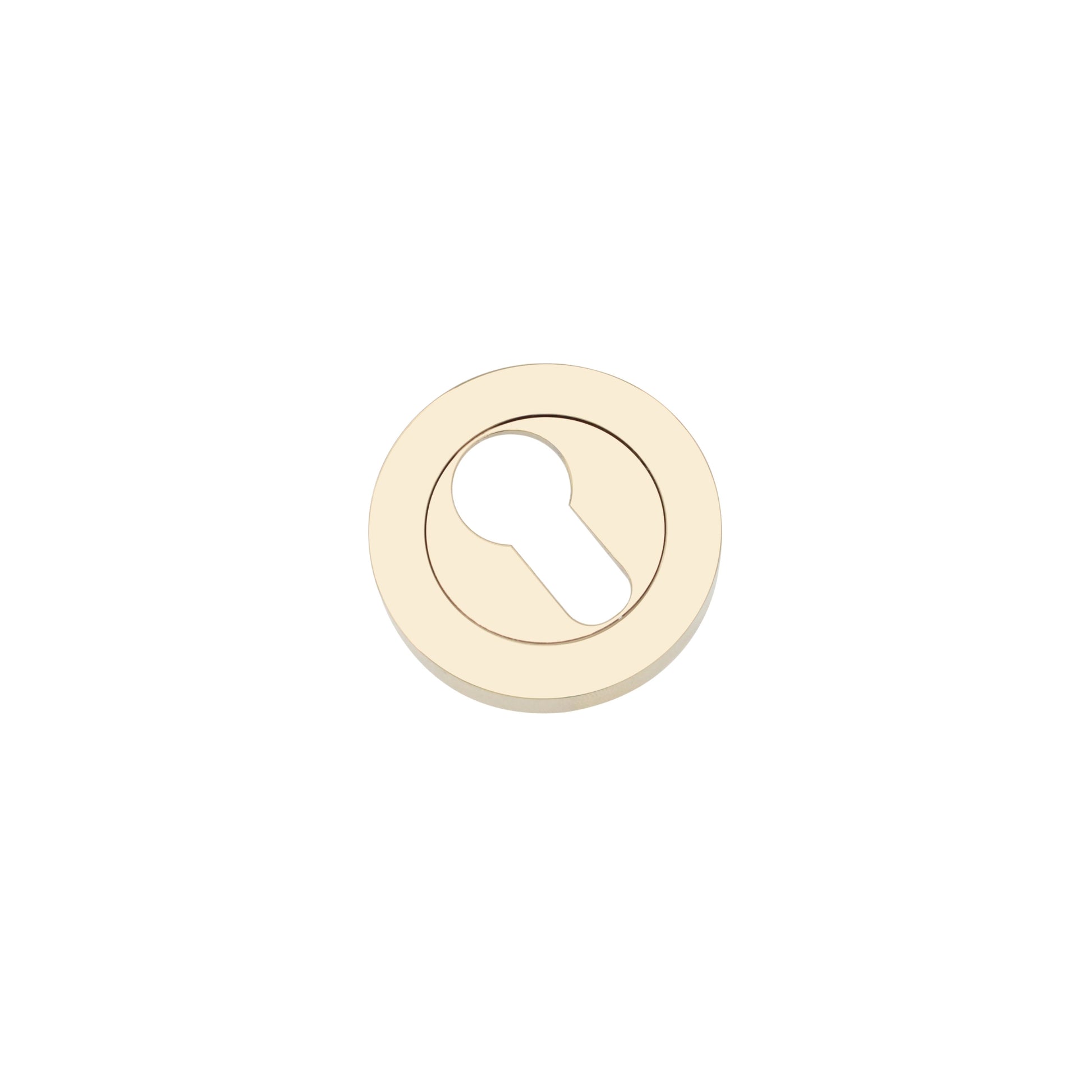Euro Profile Escutcheon PVD Brass Home Decor