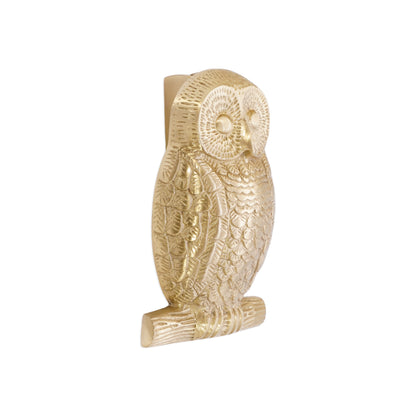 Satin Brass Owl Door Knocker Home Decor