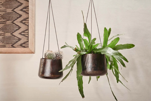 Hanging Planter Home Decor