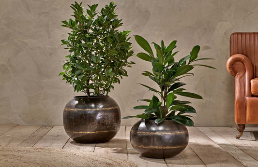 Iron Globe Planter Home Decor