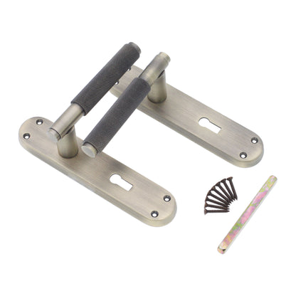 Matt Antique Lever on Backplate Lock Home Decor  
