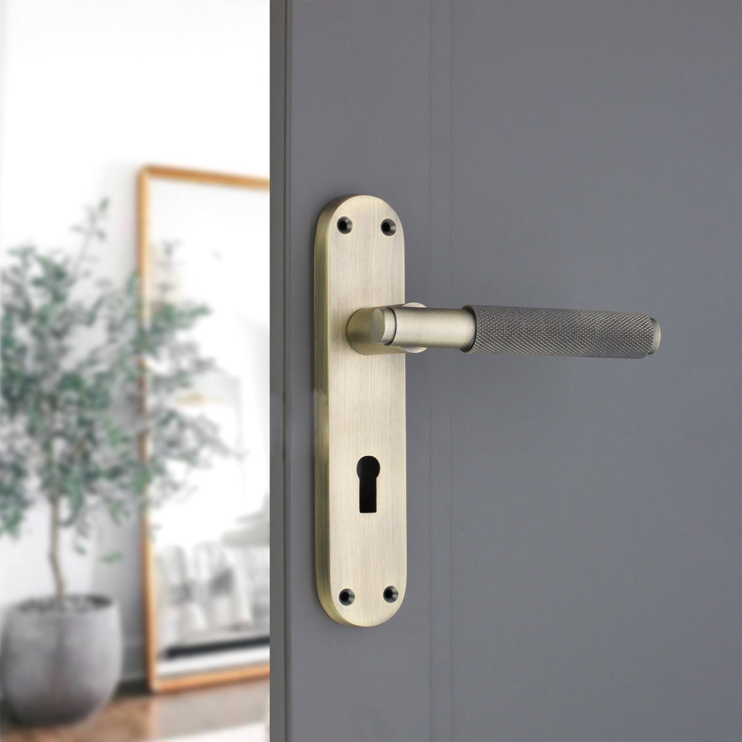 Matt Antique Lever on Backplate Lock Home Decor  