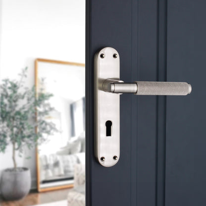 Lever on Backplate Door Handle Home Decor