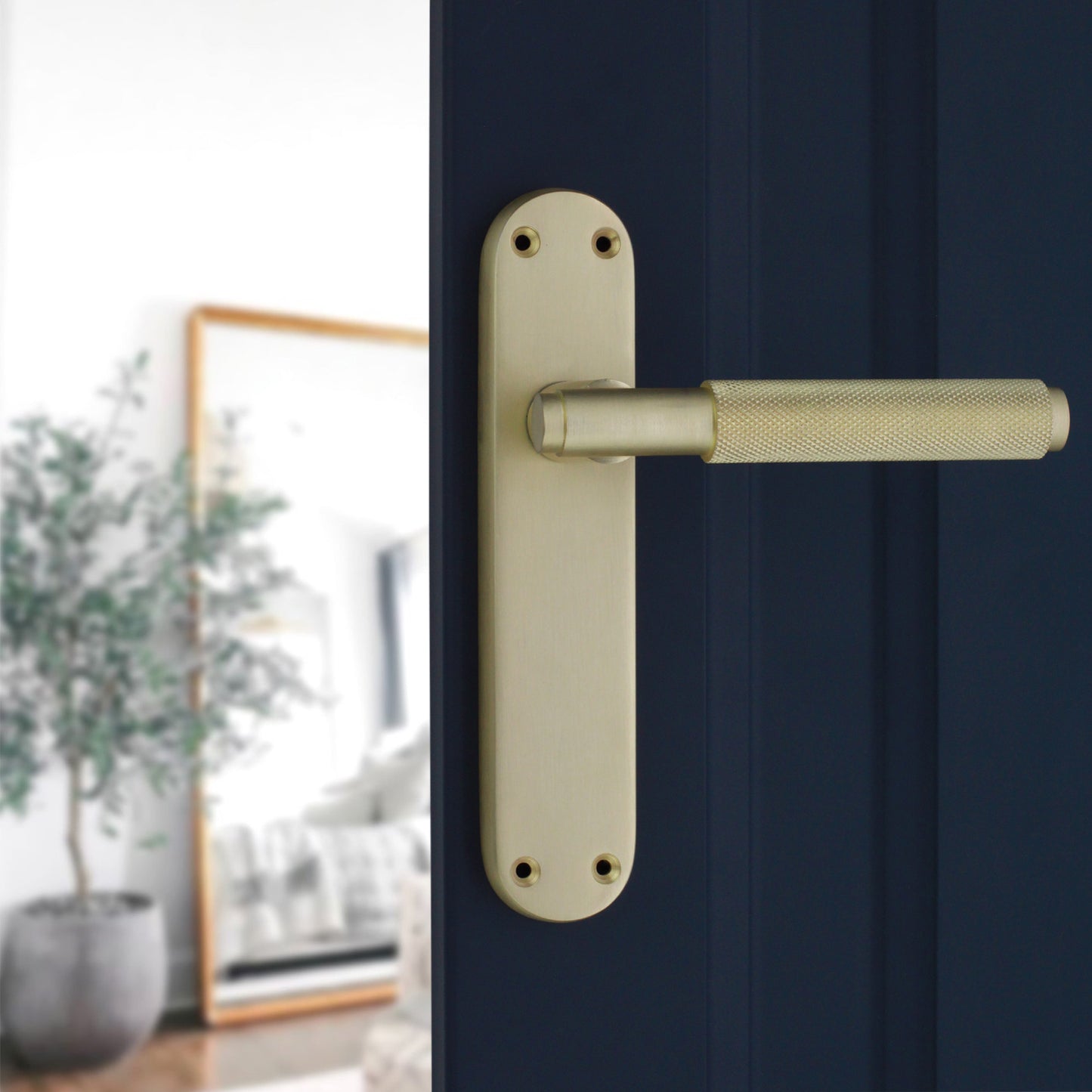 Lever on Backplate Door Handle Home Decor