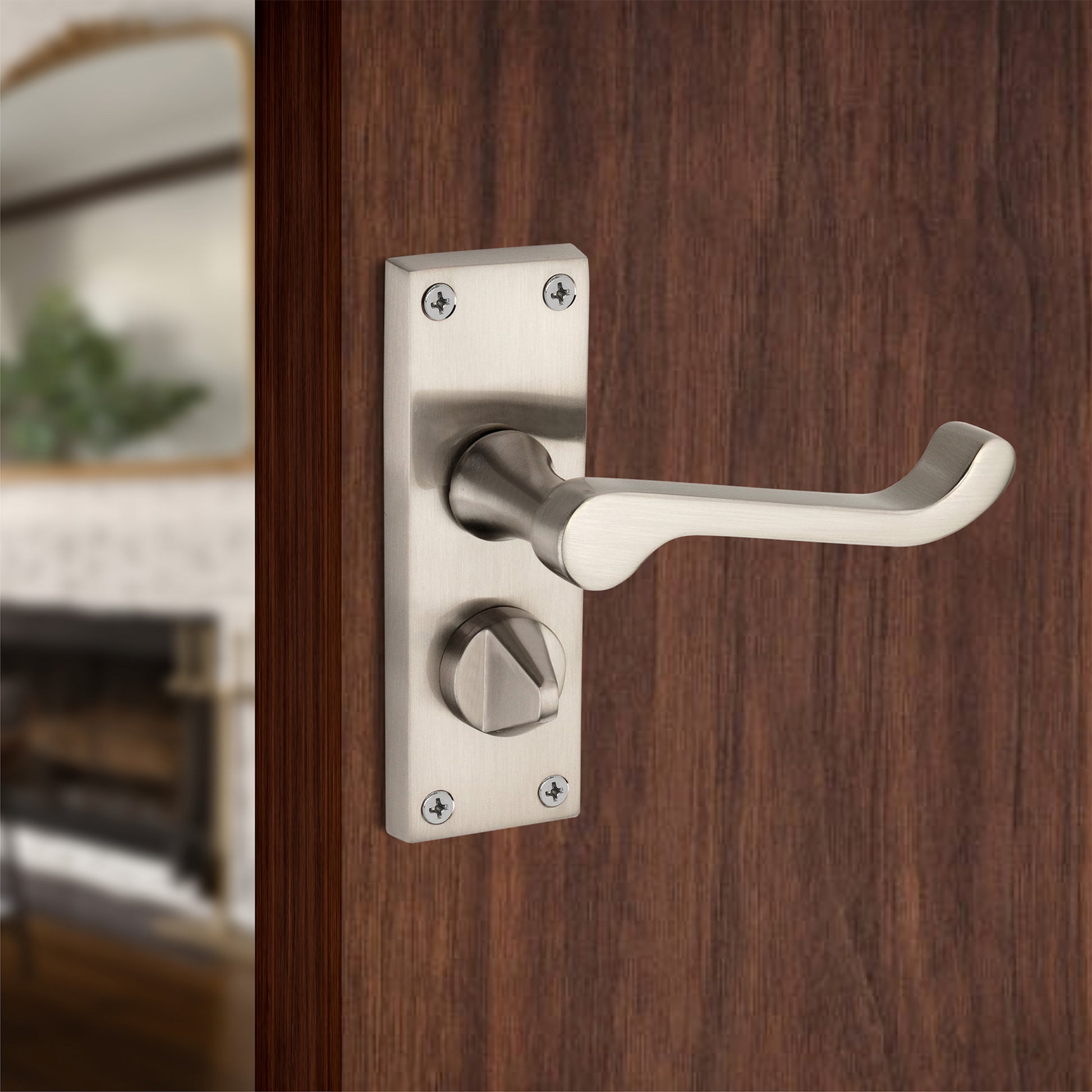 Lever on Backplate Door Handle Home Decor