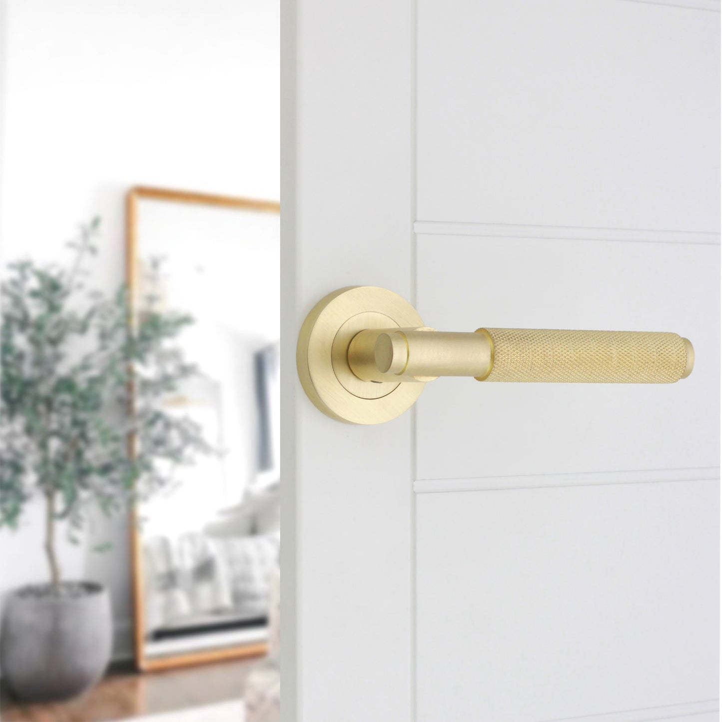 Lever on Rose Door Handle Home Decor