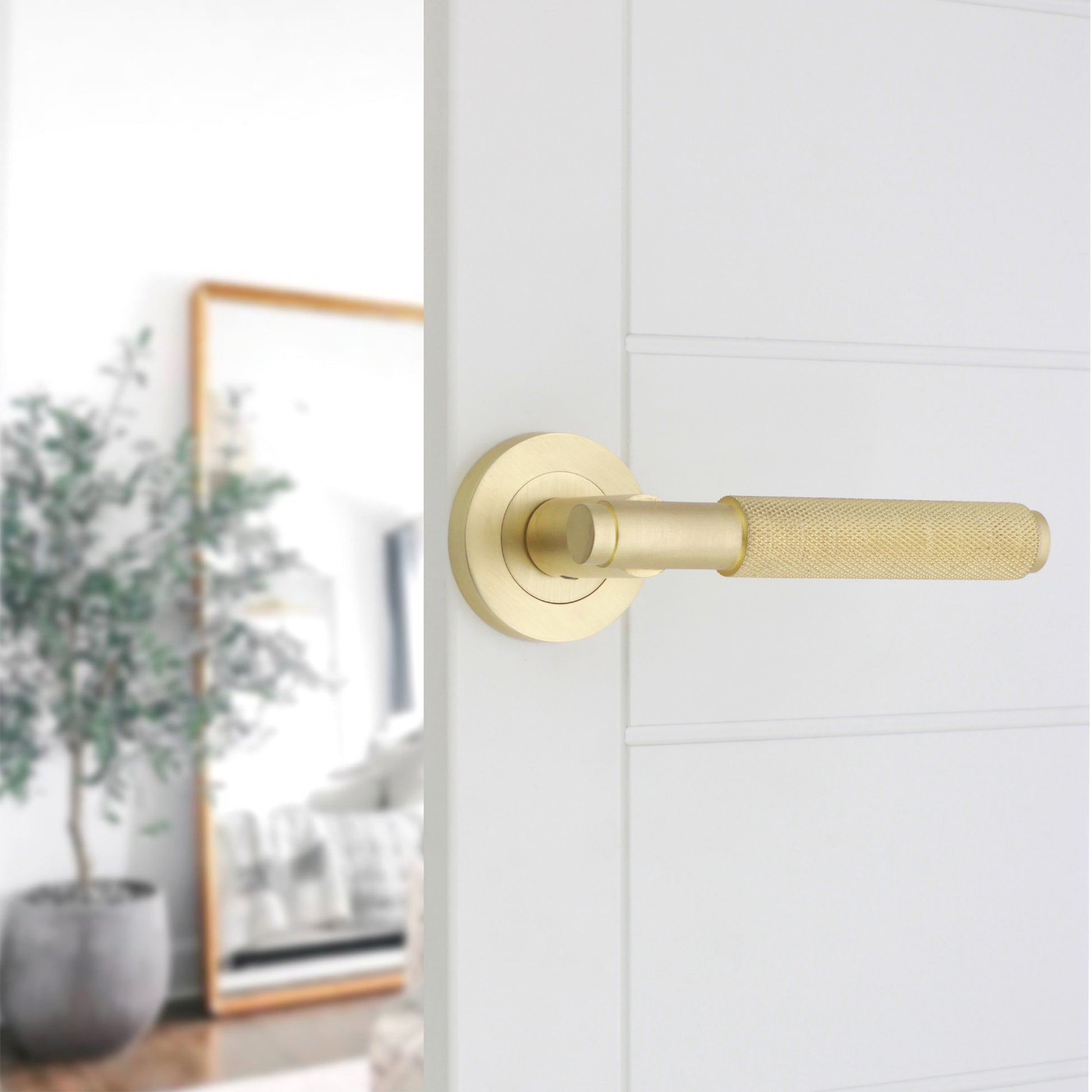 Lever on Rose Door Handle Home Decor