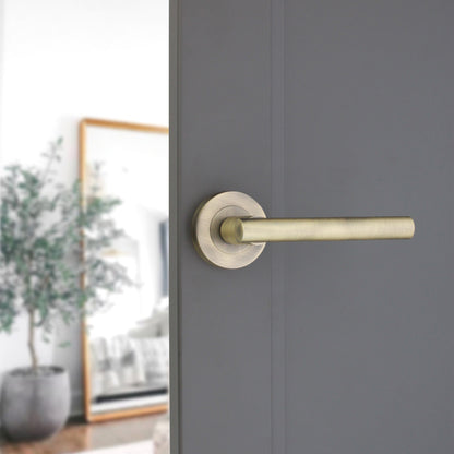Lever on Rose Door Handle Home Decor