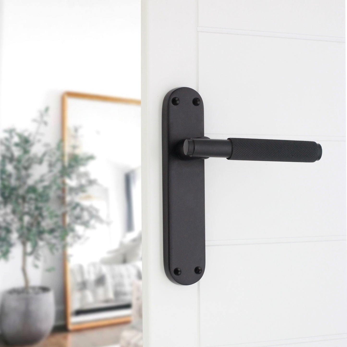 Lever on Backplate Door Handle Home Decor