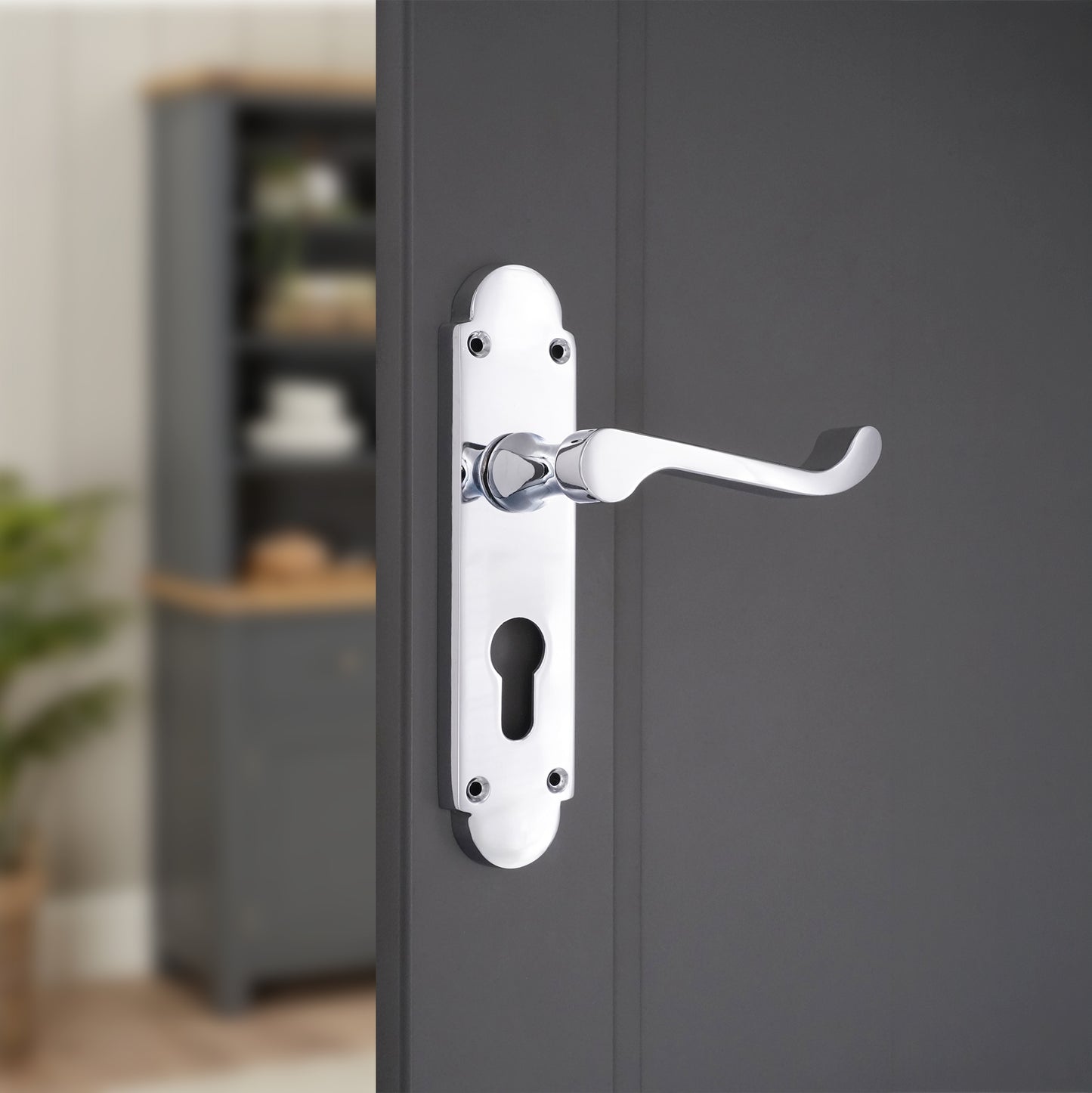 Polished Chrome Lever on Backplate Euro Home Decor 