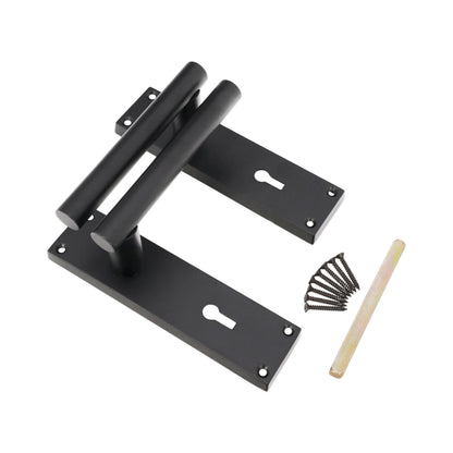 Lever on Backplate Door Handle Home Decor