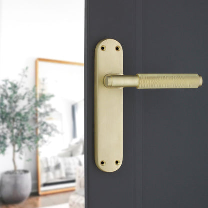 Satin Brass Lever on Backplate Latch Home Decor 