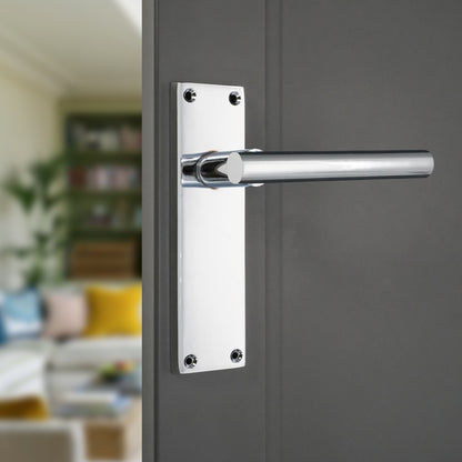 Lever on Backplate Door Handle Home Decor