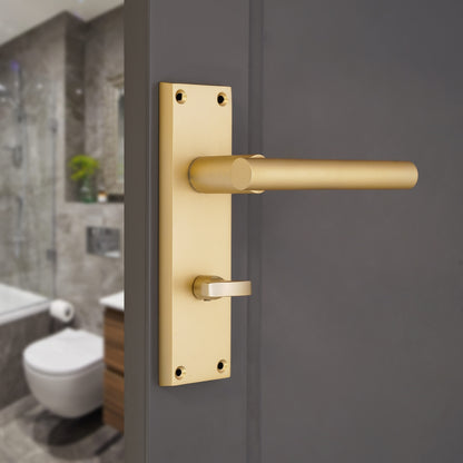 Lever on Backplate Door Handle Home Decor