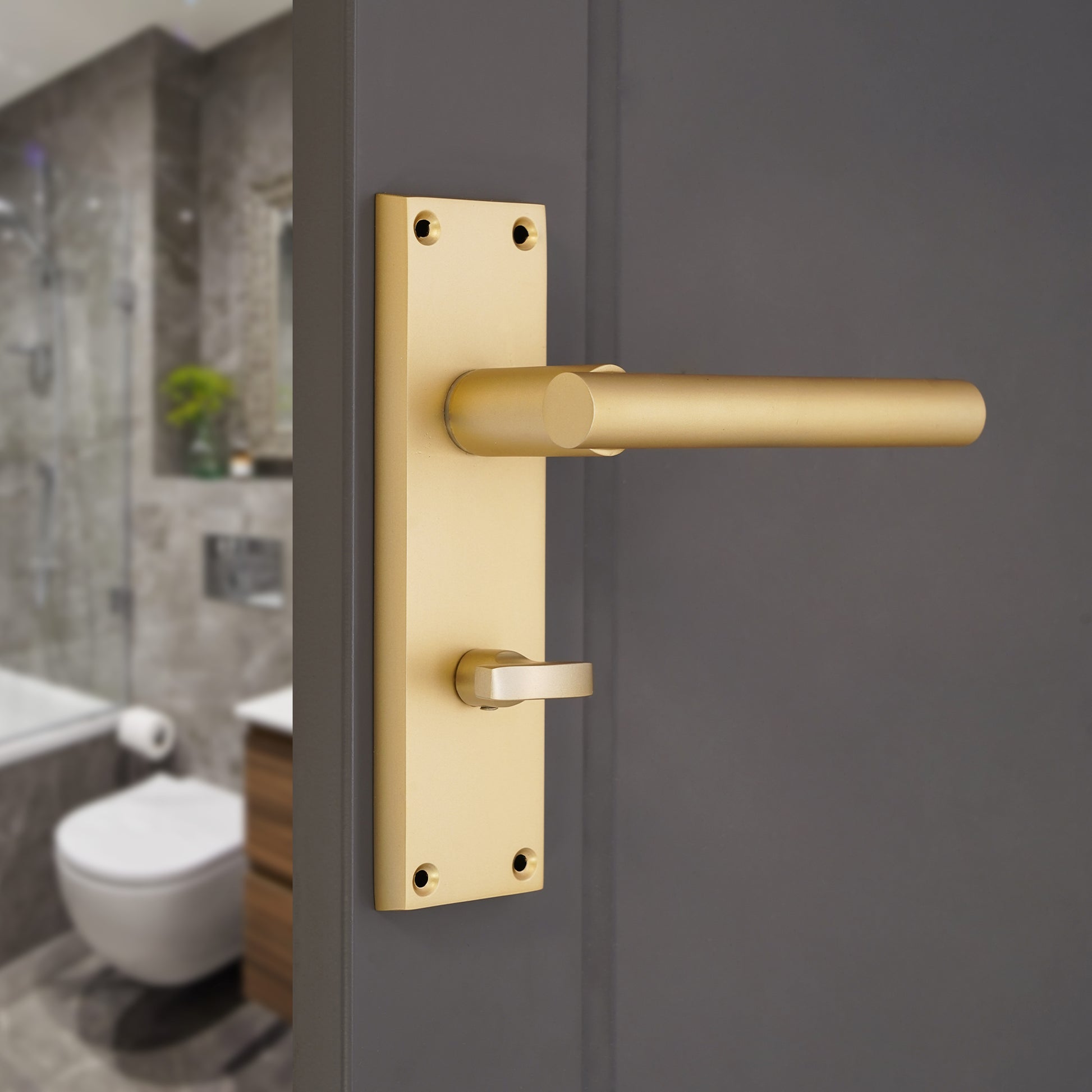 Satin Brass Lever on Backplate Bathroom More Decor 