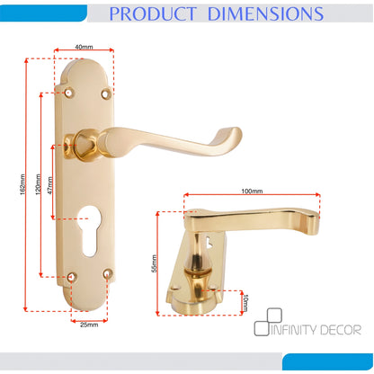 Polished Brass Lever on Backplate Euro Home Decor 