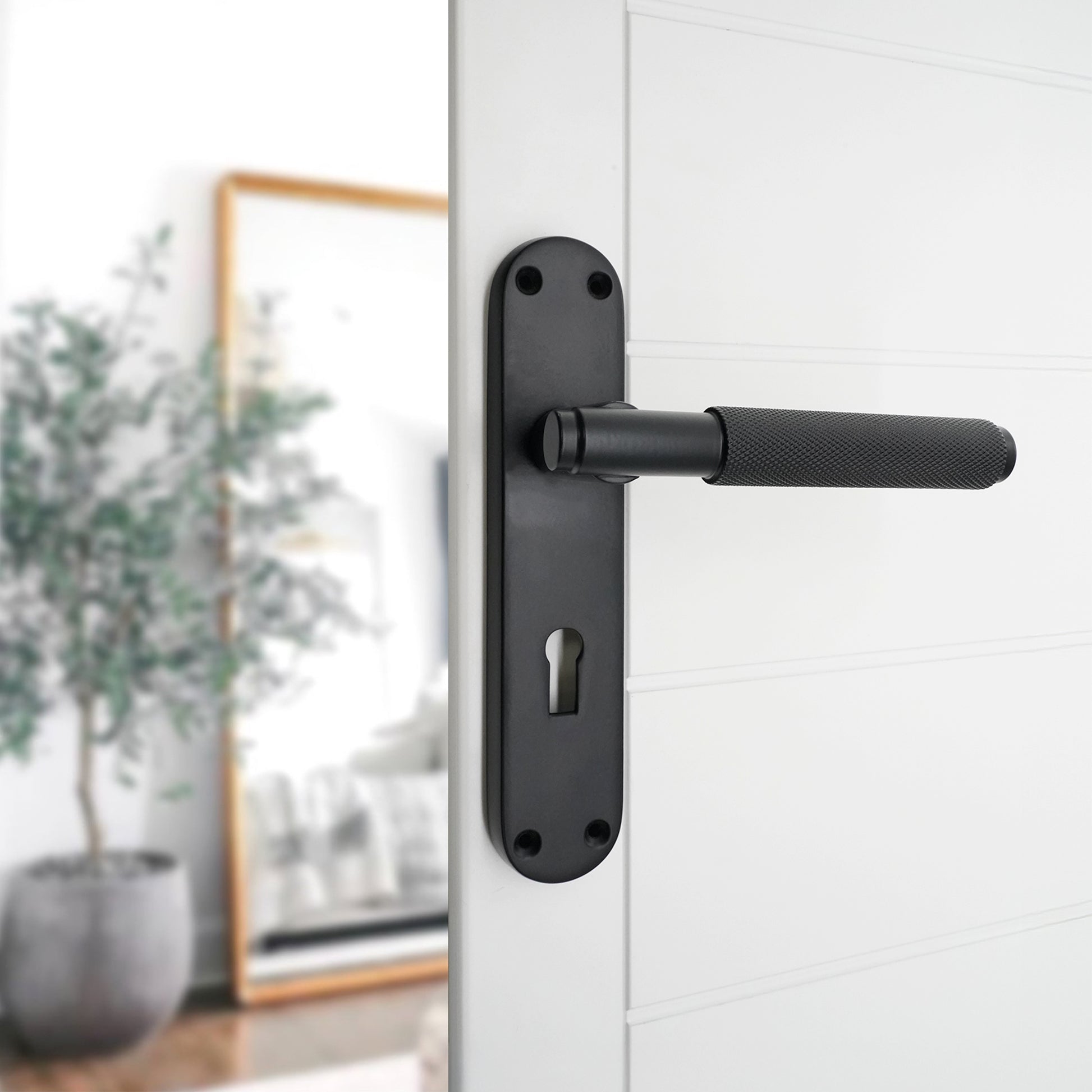 Matt Black Lever on Backplate Lock Home Decor  