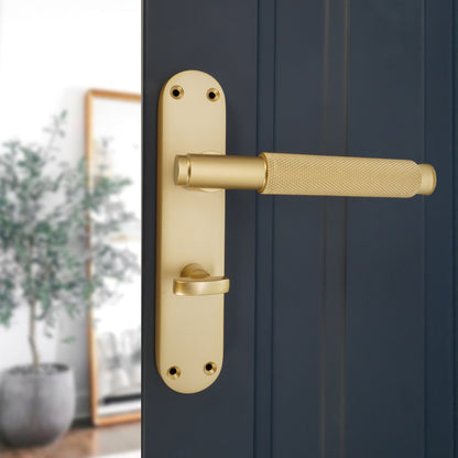 Lever on Backplate Door Handle Home Decor