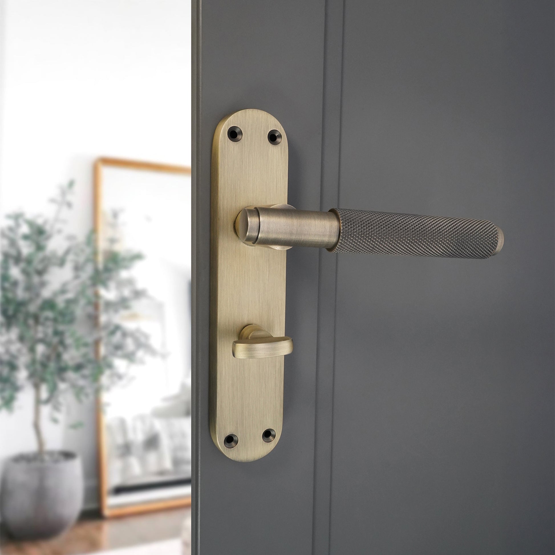 Lever on Backplate Door Handle Home Decor