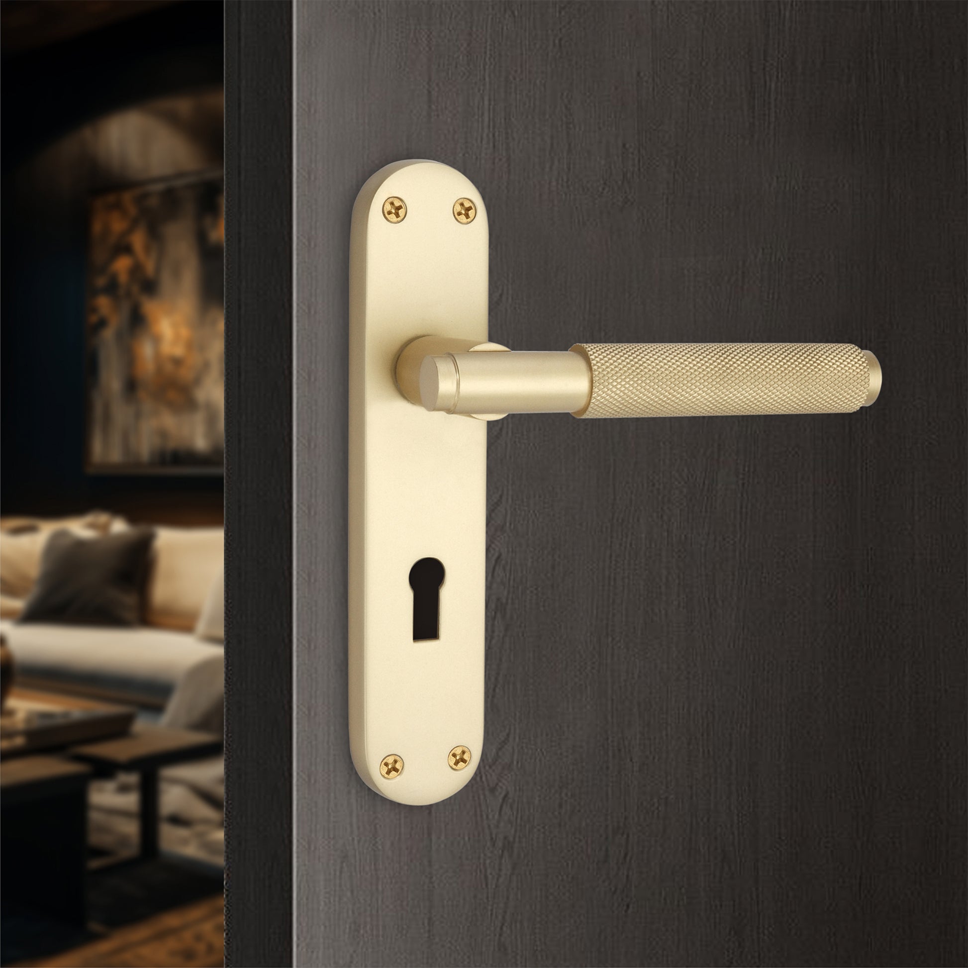 Satin Brass Lever on Backplate Lock Home Decor  