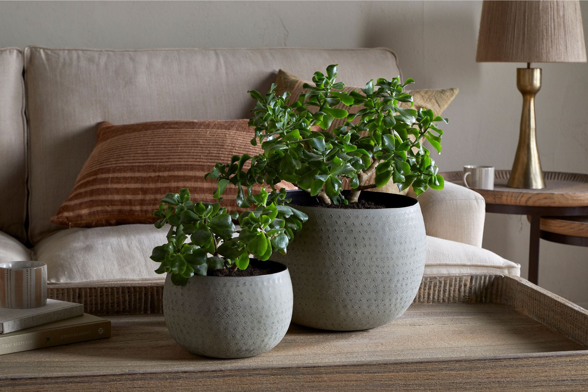 Planter Home Decor