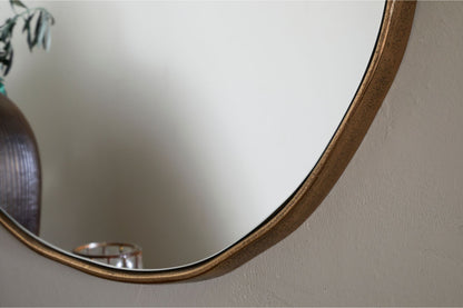 Organic Shape Mirror Home Decor