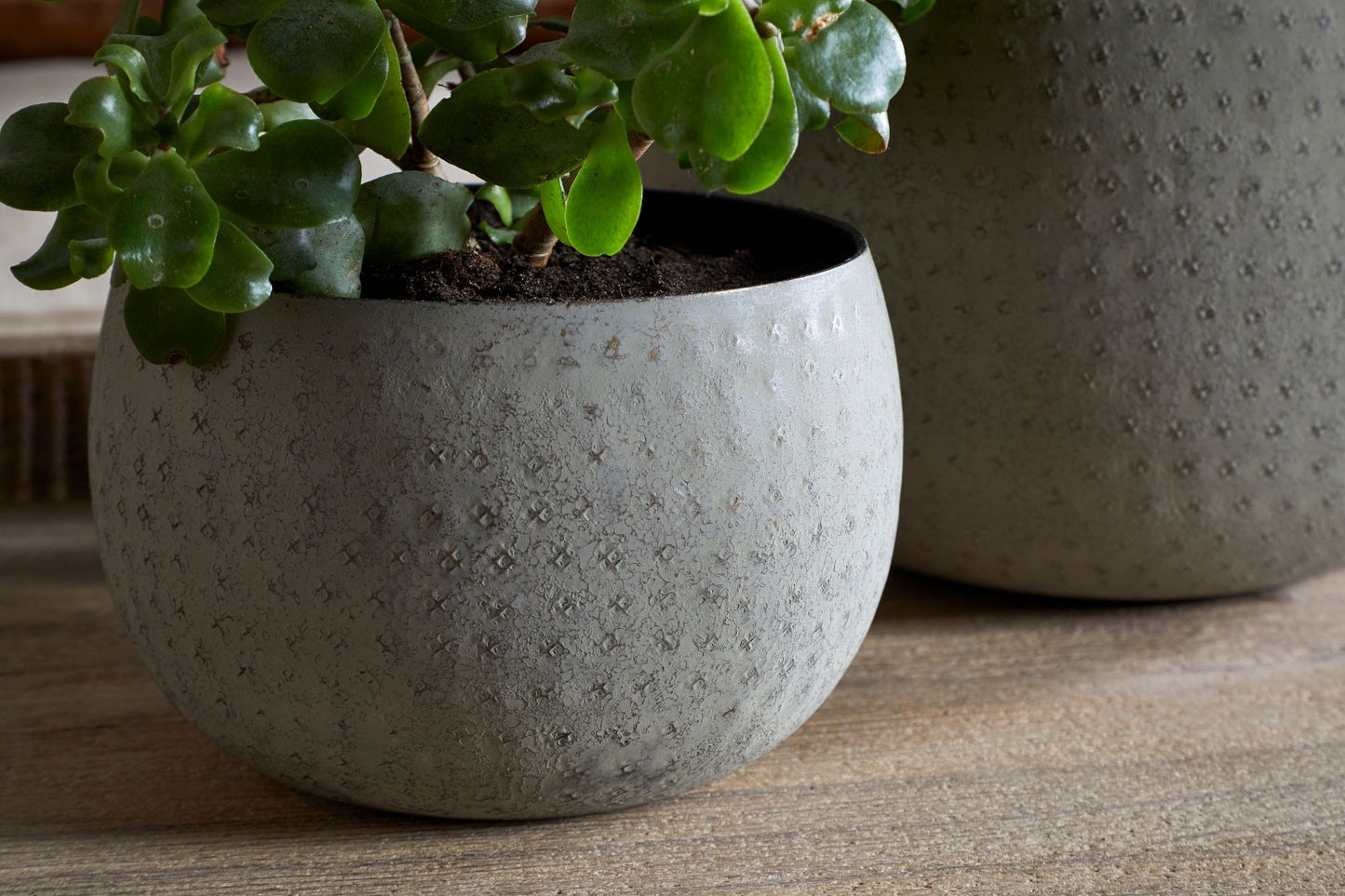 Planter Home Decor