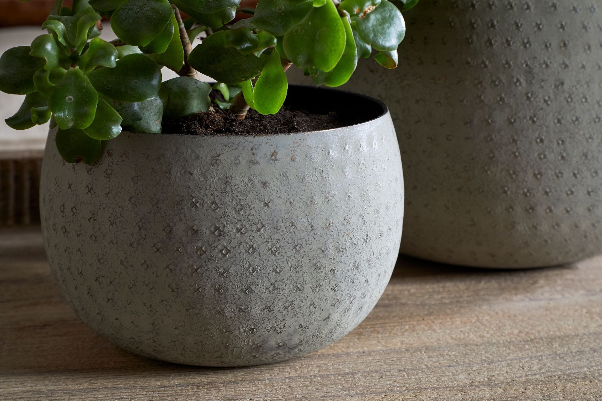 Planter Home Decor