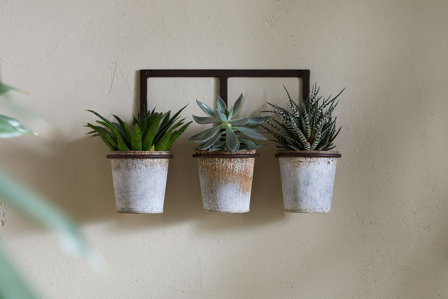 Wall Hung Planter Home Decor 