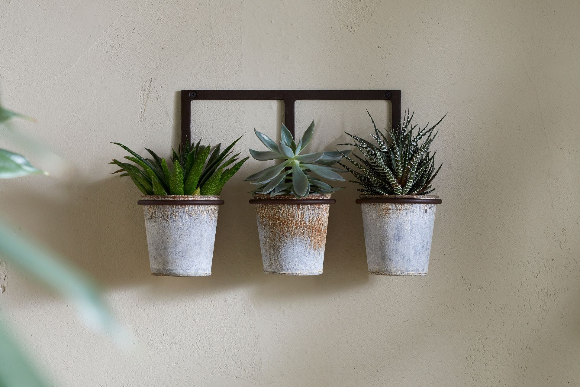 Wall Hung Planter Home Decor 
