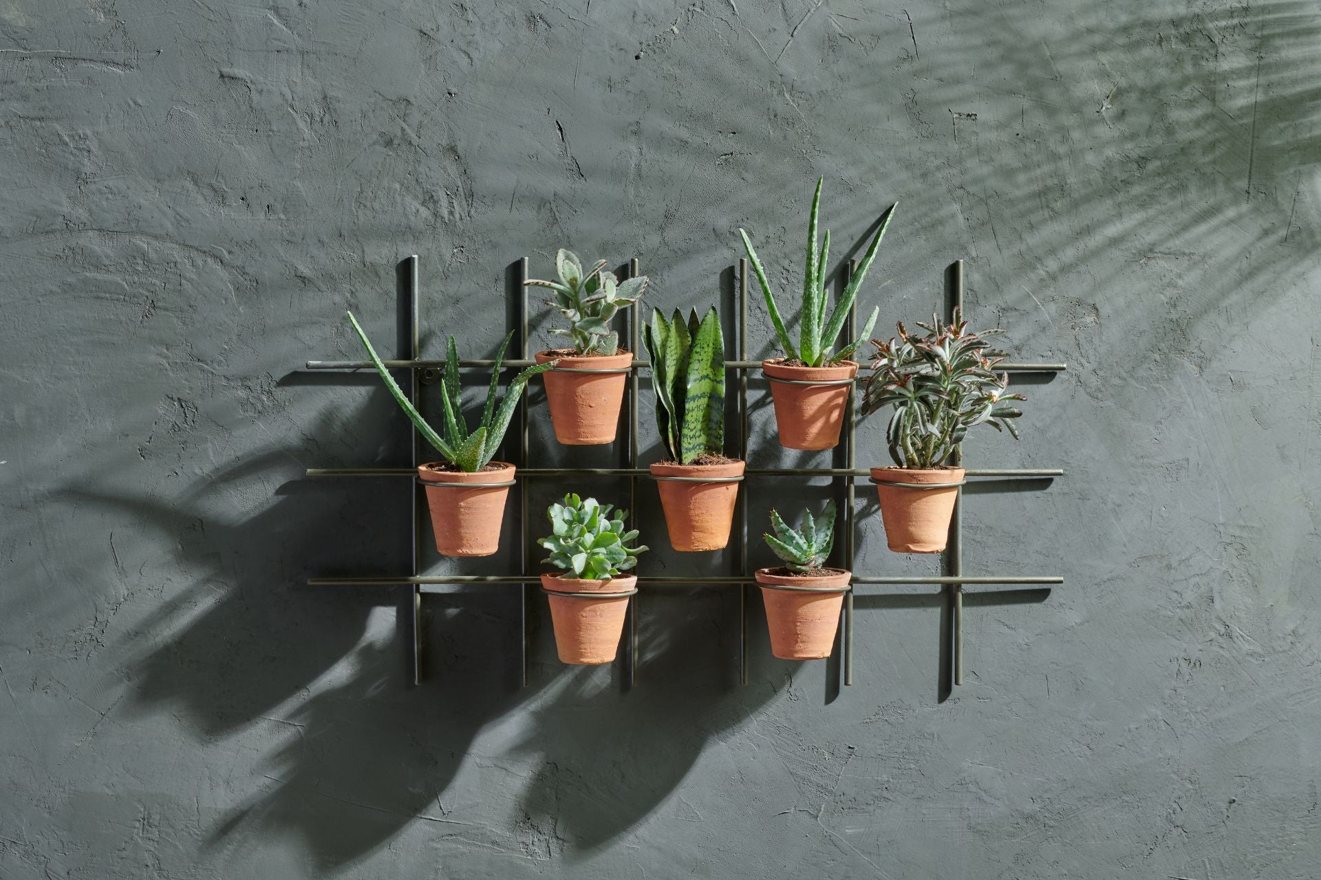 Wall Hung Planter Home Decor 