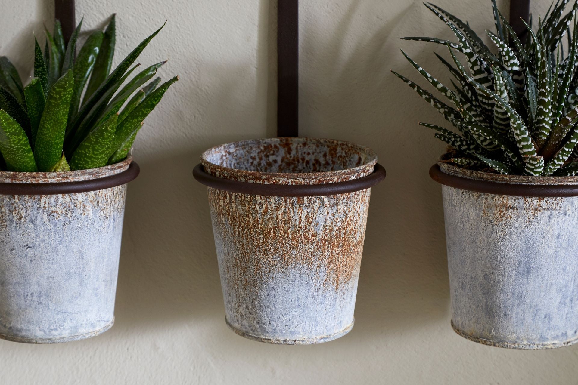 Wall Hung Planter Home Decor 